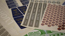 �������� �� ���-������, ����������� � �������� ��������